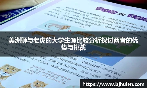 美洲狮与老虎的大学生涯比较分析探讨两者的优势与挑战