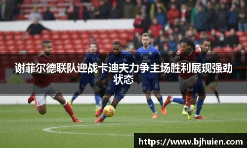 谢菲尔德联队迎战卡迪夫力争主场胜利展现强劲状态